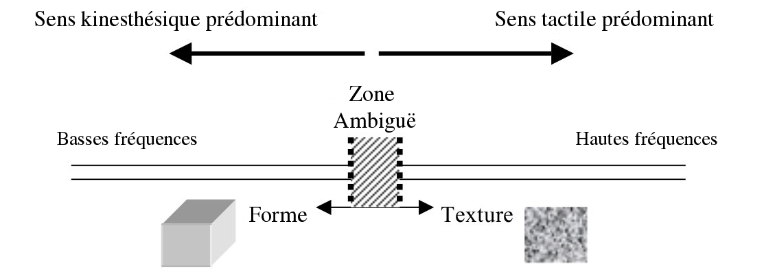 Le spectre de la perception haptique (Wall, 2004)